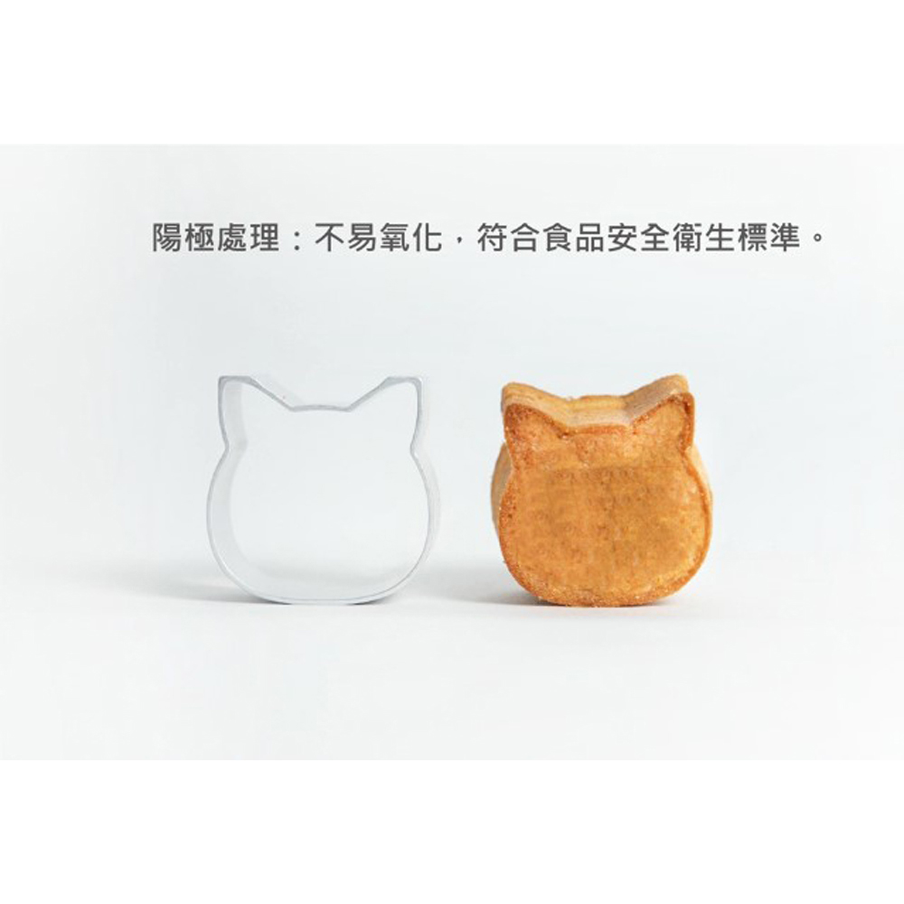 放大